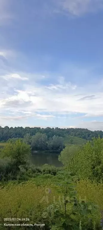 Участок в Калужская область, Перемышльский район, Ахлебинино с/пос, с. ... - Фото 1