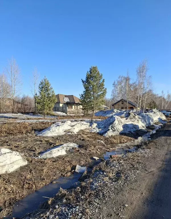 Участок в Новосибирская область, Искитимский район, Мичуринский ... - Фото 1