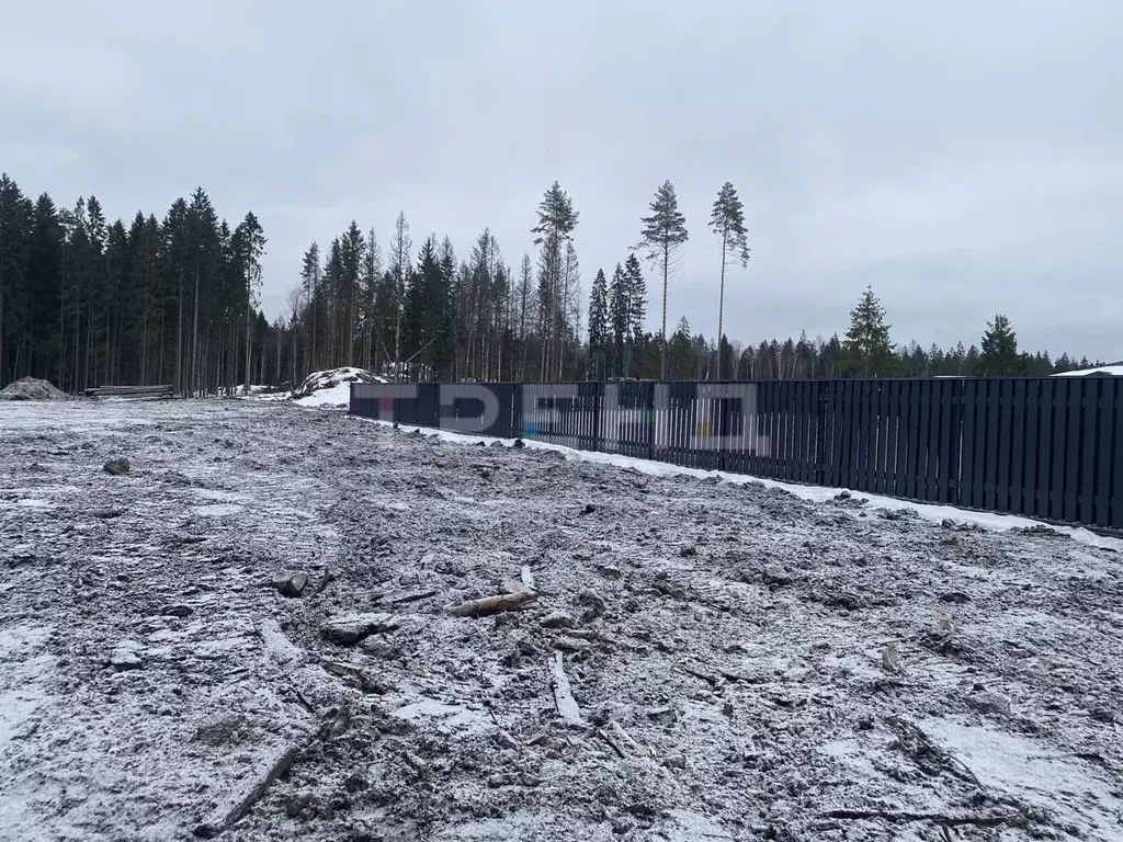 Участок в Ленинградская область, Сертолово Всеволожский район, Медное ... - Фото 1