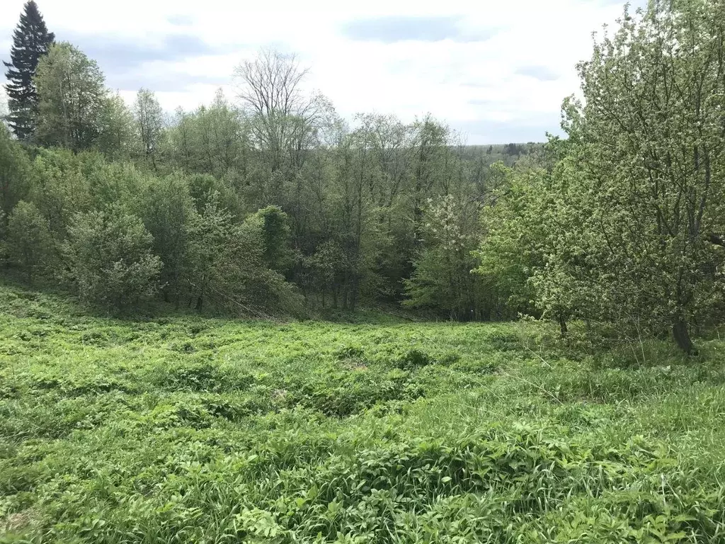 Участок, 6 сот., 0 - Фото 1