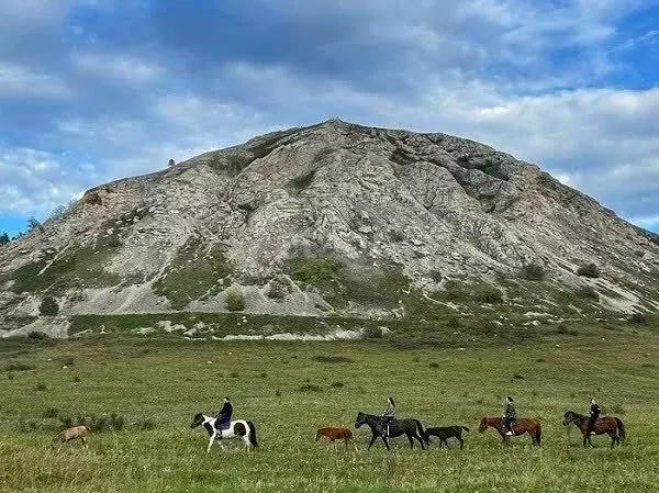 Участок 5,16 га (ИЖС) - Фото 1