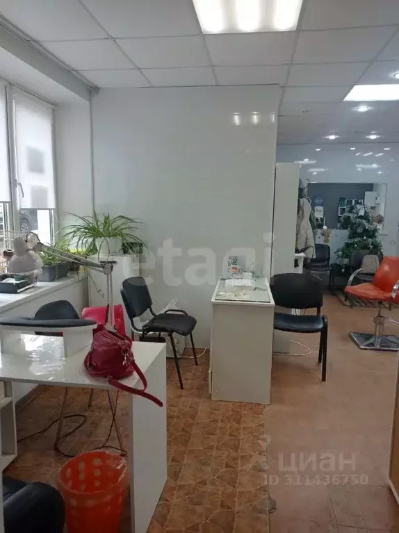 Торговая площадь в Крым, Евпатория ул. Крупской (65 м) - Фото 1