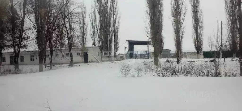 Помещение свободного назначения в Белгородская область, ... - Фото 1