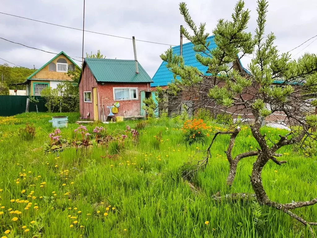 Дом в Камчатский край, Елизовский муниципальный округ, Бриз СНТ  (10 ... - Фото 1