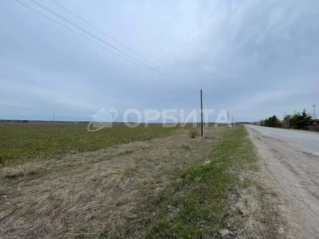 Участок в Тюменская область, Тюменский муниципальный округ, д. Ушакова ... - Фото 1