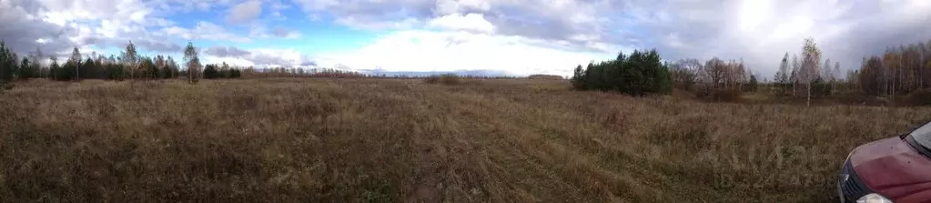 Участок в Нижегородская область, Вознесенский муниципальный округ, с. ... - Фото 1