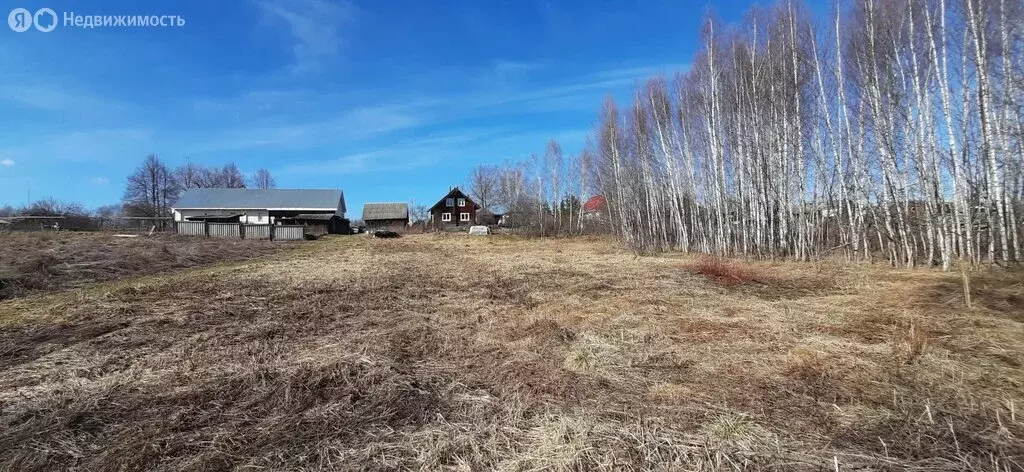 Участок в Нижегородская область, городской округ Бор, село Городищи ... - Фото 1
