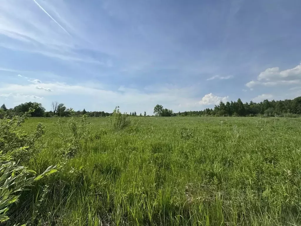 Участок в Московская область, Воскресенск городской округ, д. ... - Фото 1