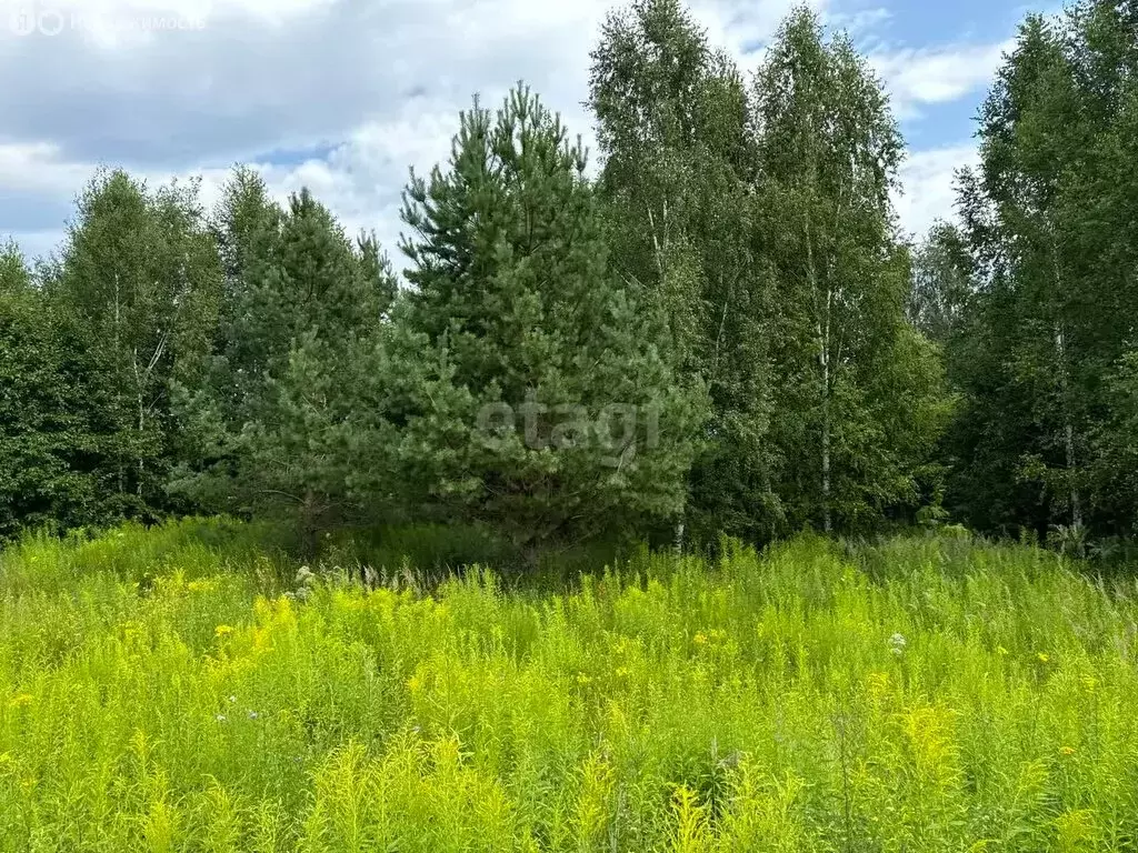 Участок в Нижегородская область, Городецкий муниципальный округ, ... - Фото 1