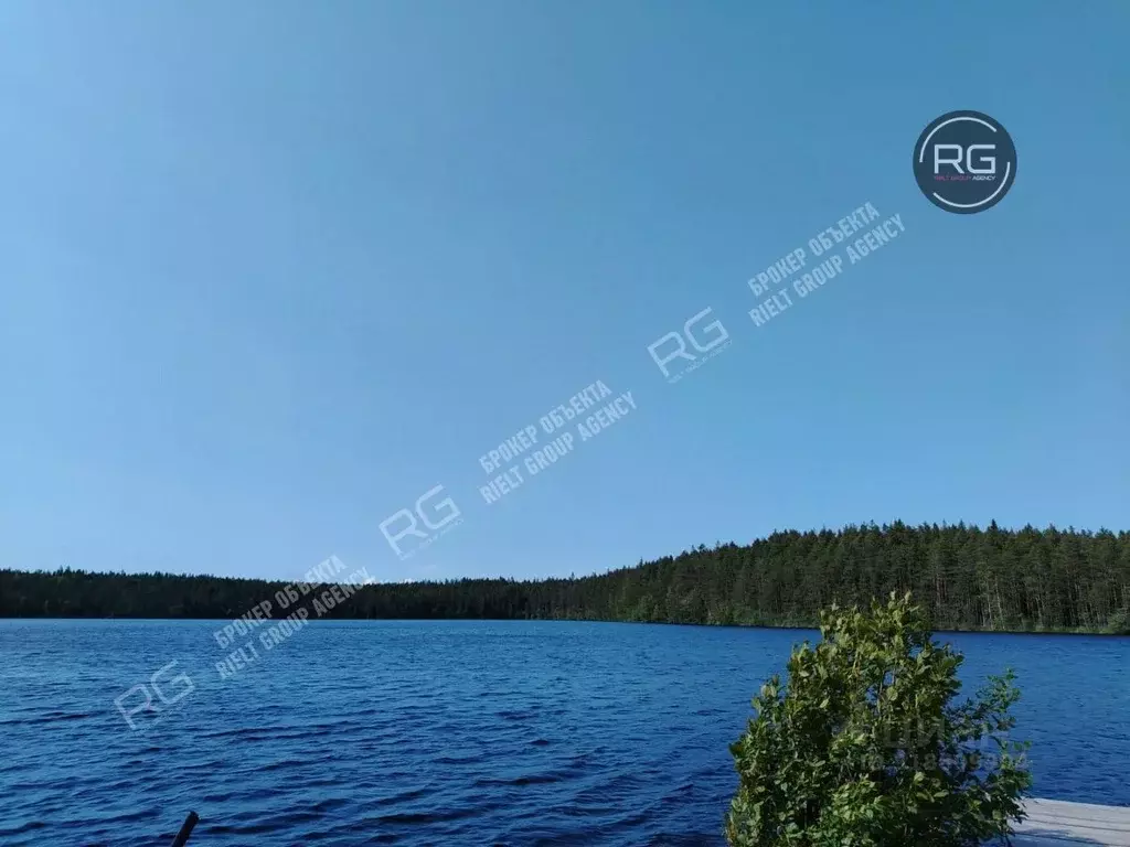 Участок в Ленинградская область, Выборгский район, Полянское с/пос, ... - Фото 0