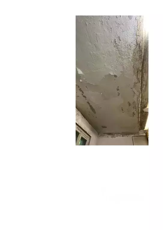 Помещение свободного назначения в Новосибирская область, Новосибирский ... - Фото 2