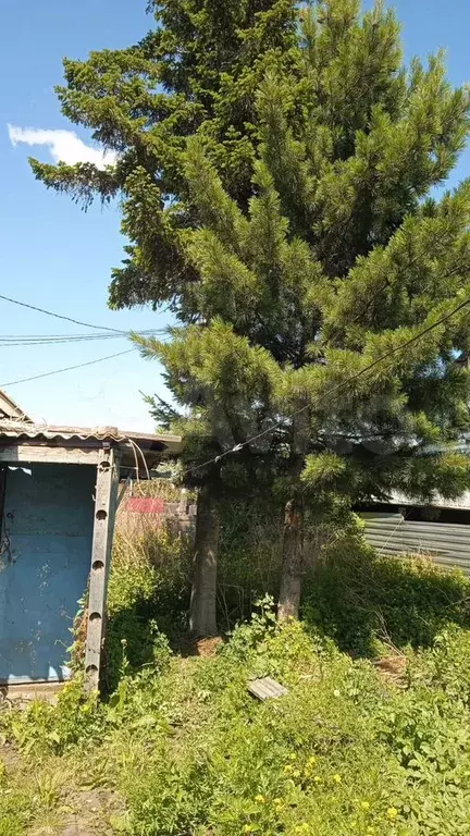 Дом 86,8 м на участке 6 сот. - Фото 1