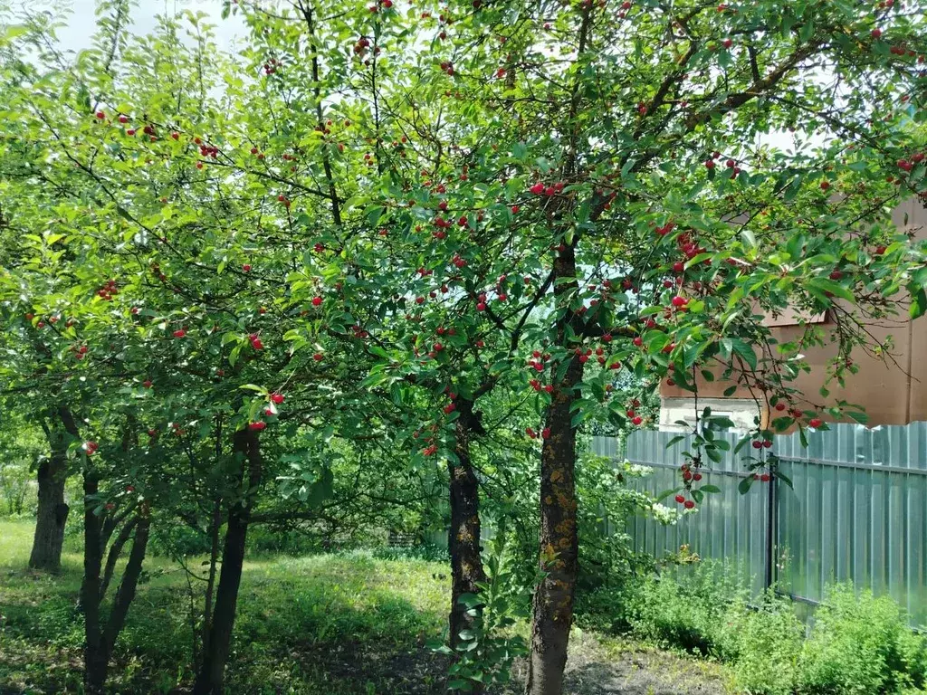 Участок в Пензенская область, Пенза Южный СНТ, 118 (9.0 сот.) - Фото 0