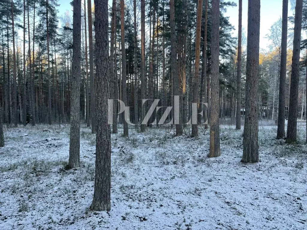 Участок в Ленинградская область, Приозерский район, Петровское с/пос, ... - Фото 1