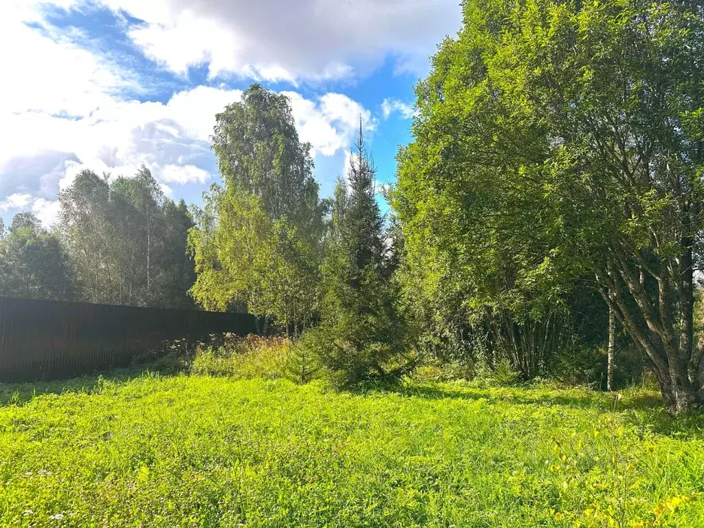 Участок в Московская область, Истра муниципальный округ, д. Кашино ул. ... - Фото 1