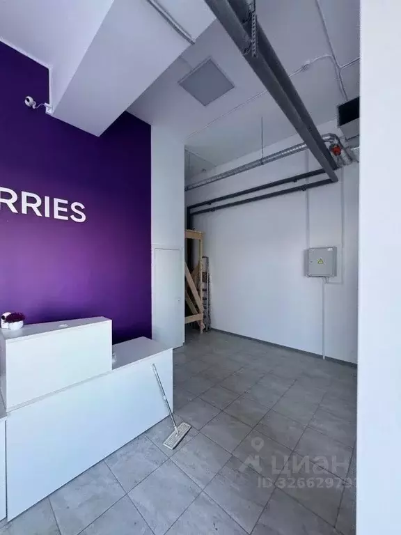 Помещение свободного назначения в Санкт-Петербург ул. Челюскина, 8с1 ... - Фото 1