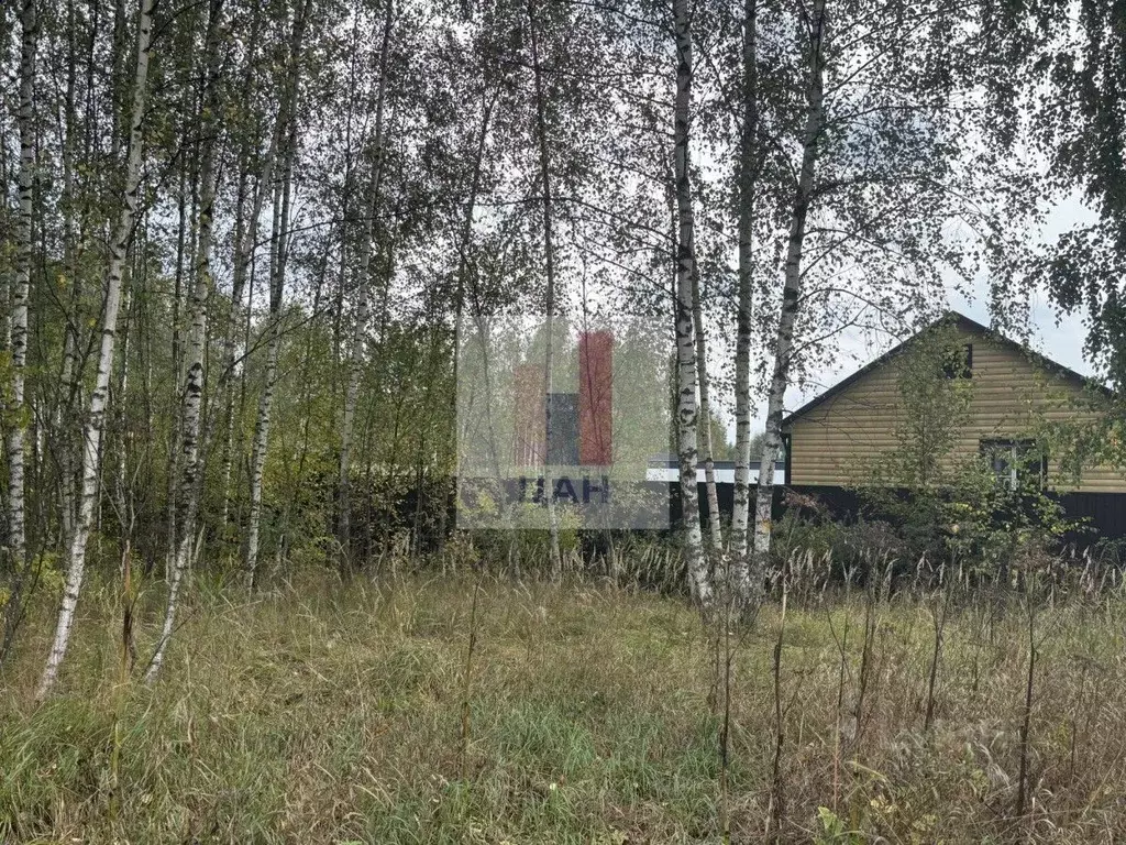 Участок в Московская область, Раменский муниципальный округ, Мининская ... - Фото 2