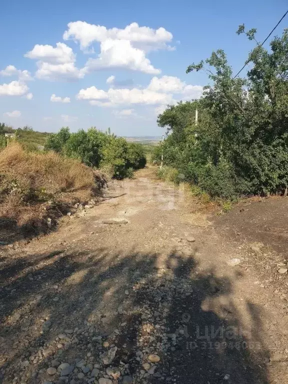 Участок в Ставропольский край, Ставрополь Селекционер садовое ... - Фото 0