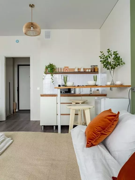 1-к кв. Санкт-Петербург Дальневосточный просп., 19к1 (27.0 м) - Фото 2