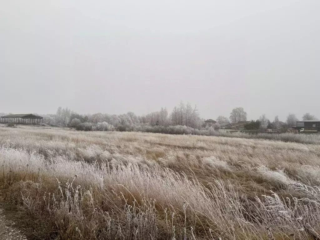 Участок в Московская область, Кашира городской округ, д. Барабаново  ... - Фото 0