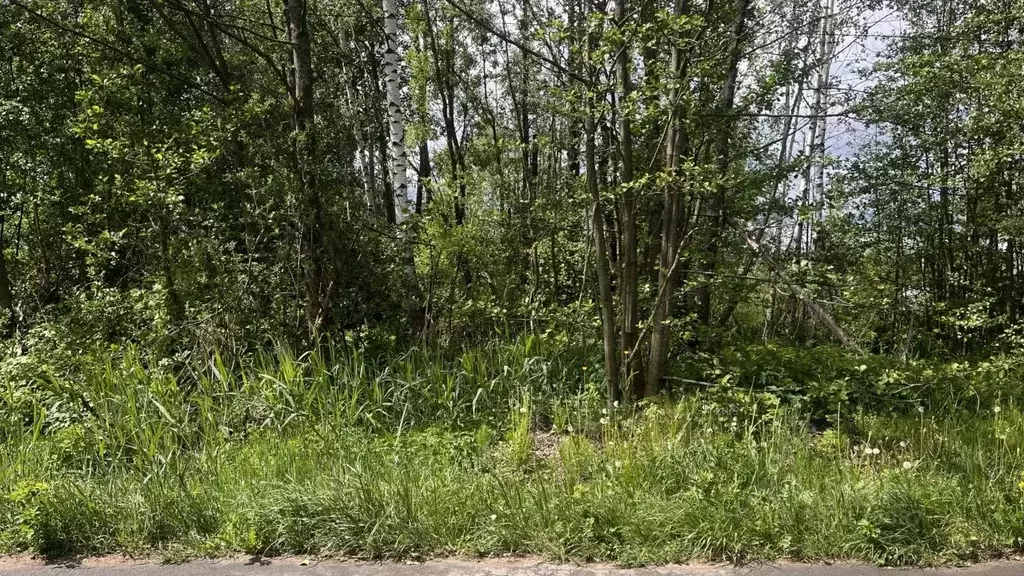 Участок в Московская область, Дубна Чкаловский пер. (9.02 сот.) - Фото 1