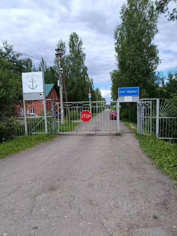 Участок в Ленинградская область, Лужский район, Мшинское с/пос, ... - Фото 1