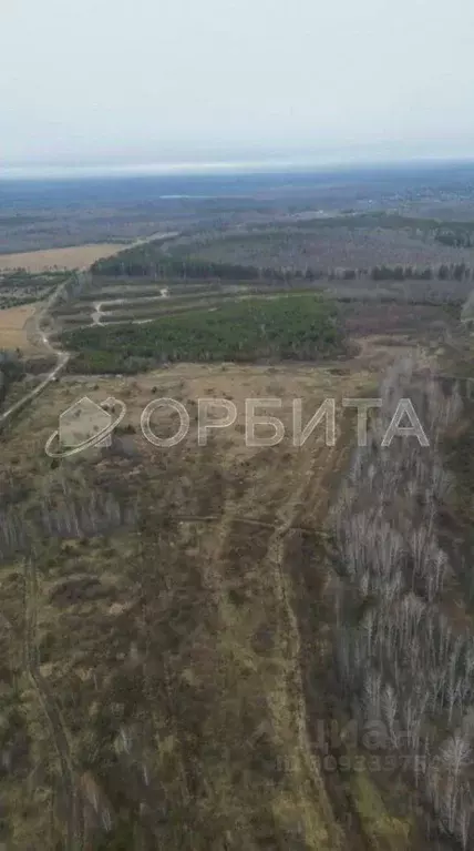 Участок в Тюменская область, Нижнетавдинский район, Царицыно СНТ  (7.0 ... - Фото 1