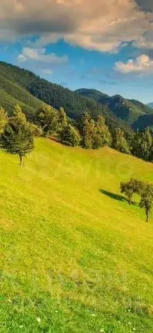 Участок в Ставропольский край, Новоалександровск ул. Чапаева, 61 (15.0 ... - Фото 0