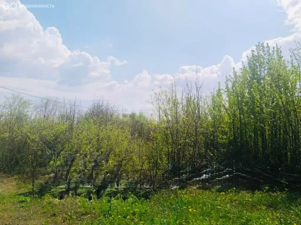 Участок в посёлок городского типа Усть-Кинельский, СДТ Самарский СХИ ... - Фото 2