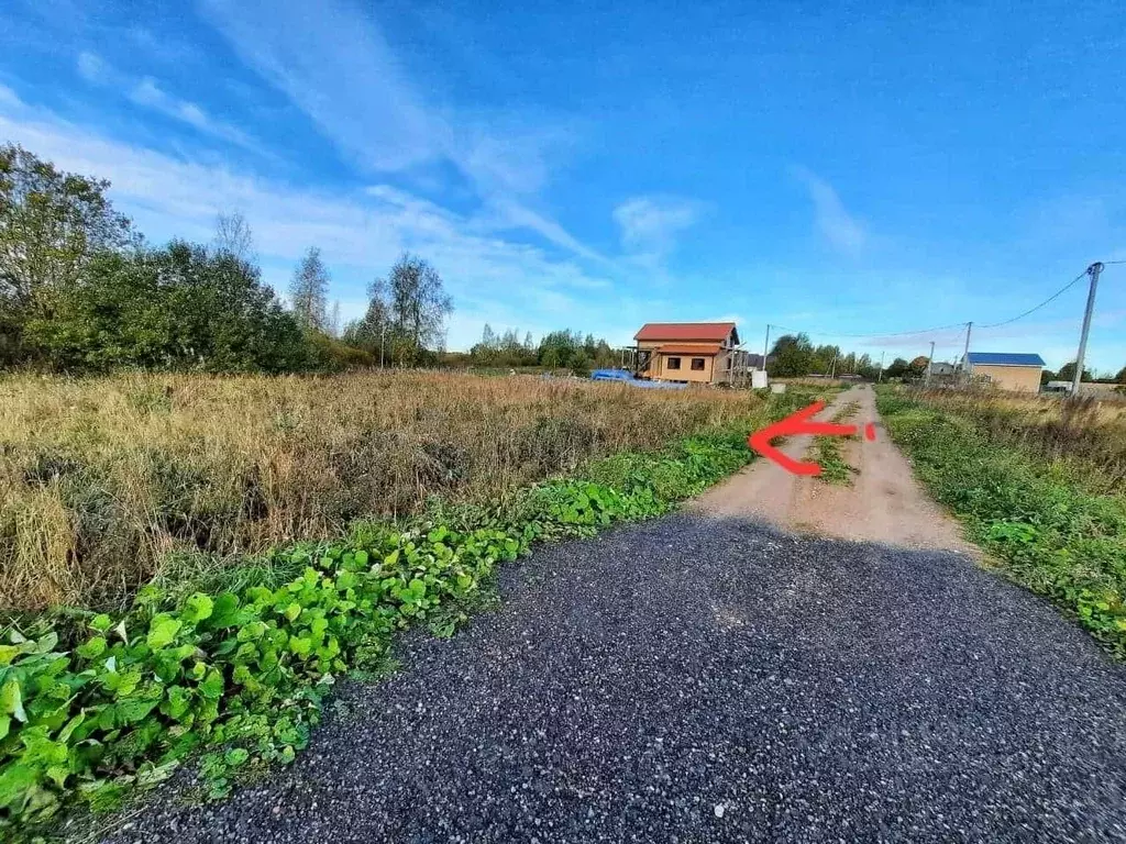 Участок в Псковская область, Гдов ул. Загородная (15.0 сот.) - Фото 0