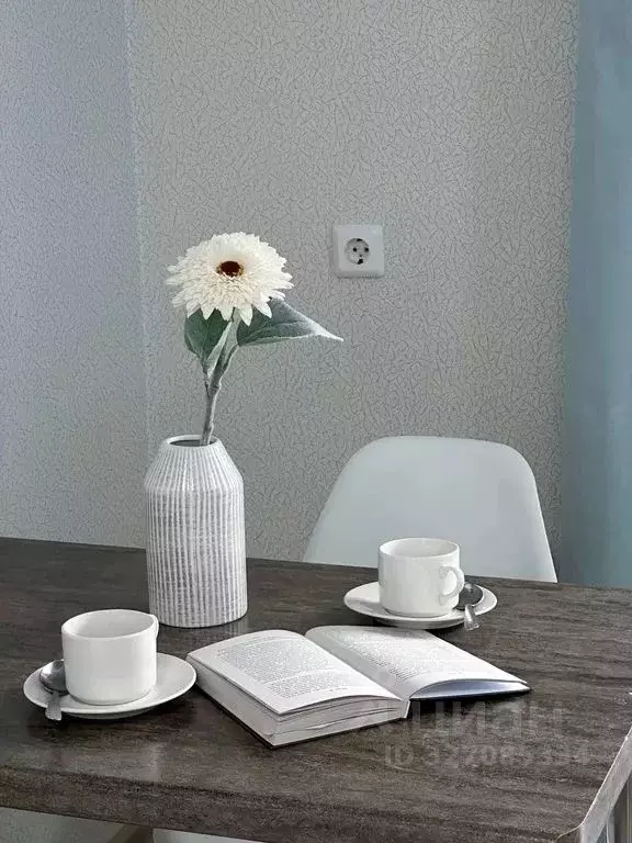 Студия Башкортостан, Уфа ул. Летчика Кобелева, 3/2 (24.0 м) - Фото 1