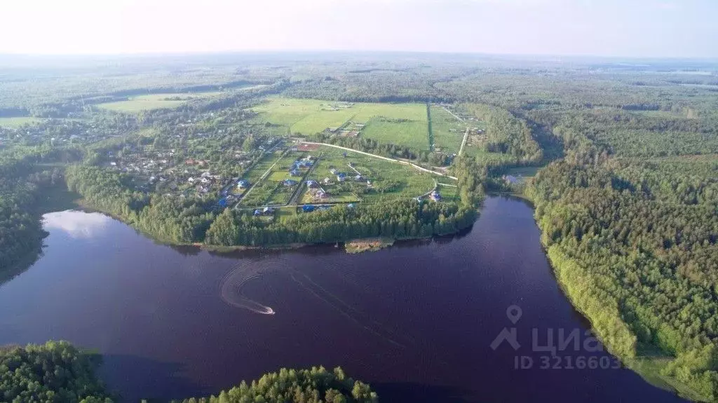 Участок в Владимирская область, Киржачский муниципальный округ, д. ... - Фото 1