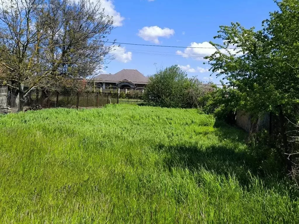 Участок в станица Новомышастовская, Красная улица, 13 (24 м) - Фото 1