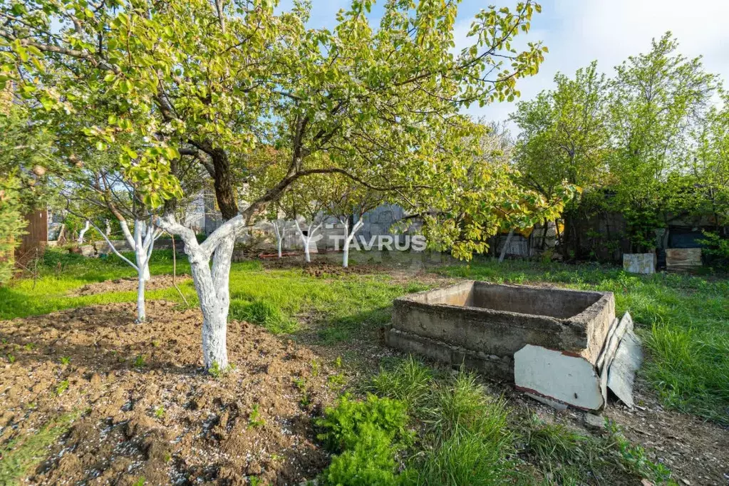 Участок в Севастополь Березка садоводческое товарищество, 53 (4.45 ... - Фото 0