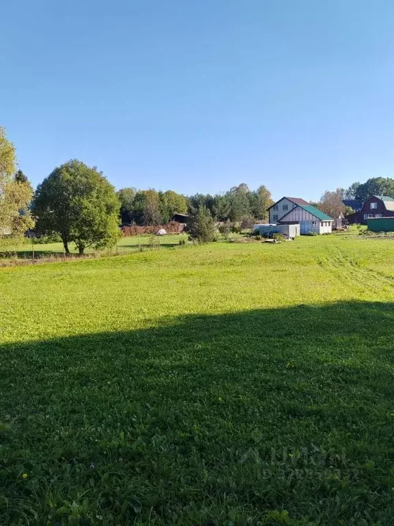 Участок в Московская область, Можайский муниципальный округ, д. ... - Фото 2