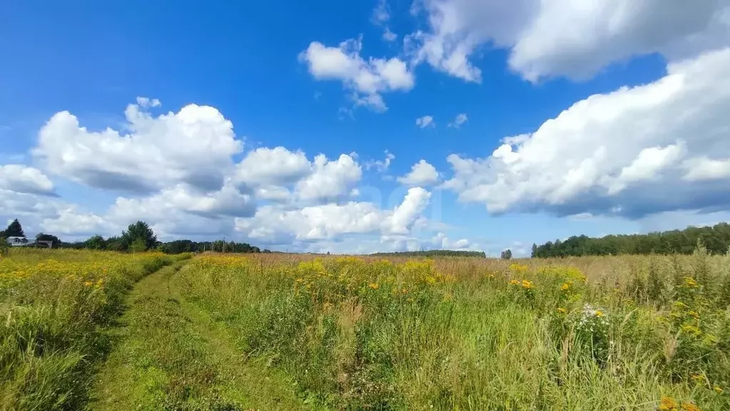 Участок в Калужская область, Тарусский район, Похвиснево с/пос, д. ... - Фото 2