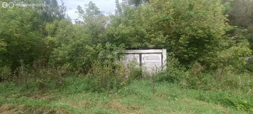 Участок в Задонский район, Бутырский сельсовет, деревня Синявка (30 м) - Фото 2