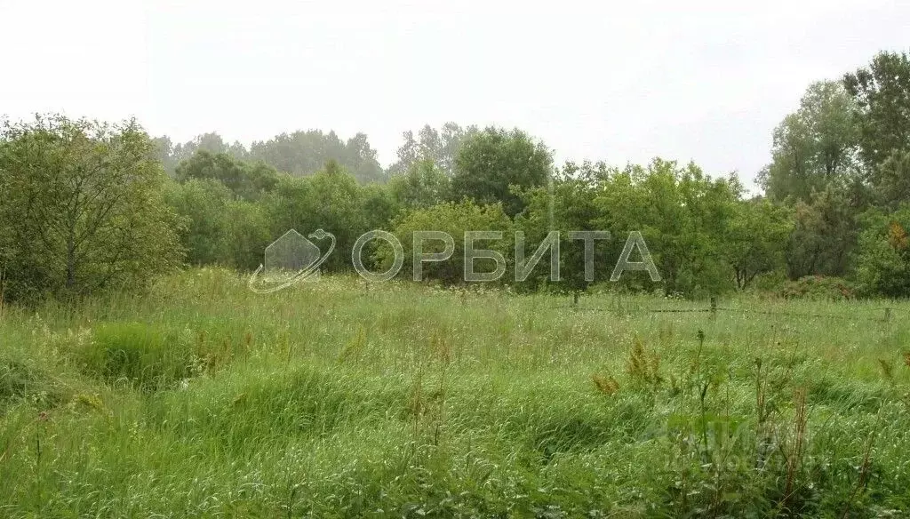 Участок в Тюменская область, Нижнетавдинский район, У Сосны ... - Фото 1