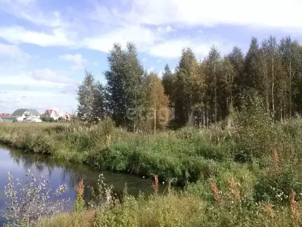 Участок в Свердловская область, Белоярский муниципальный округ, д. ... - Фото 1