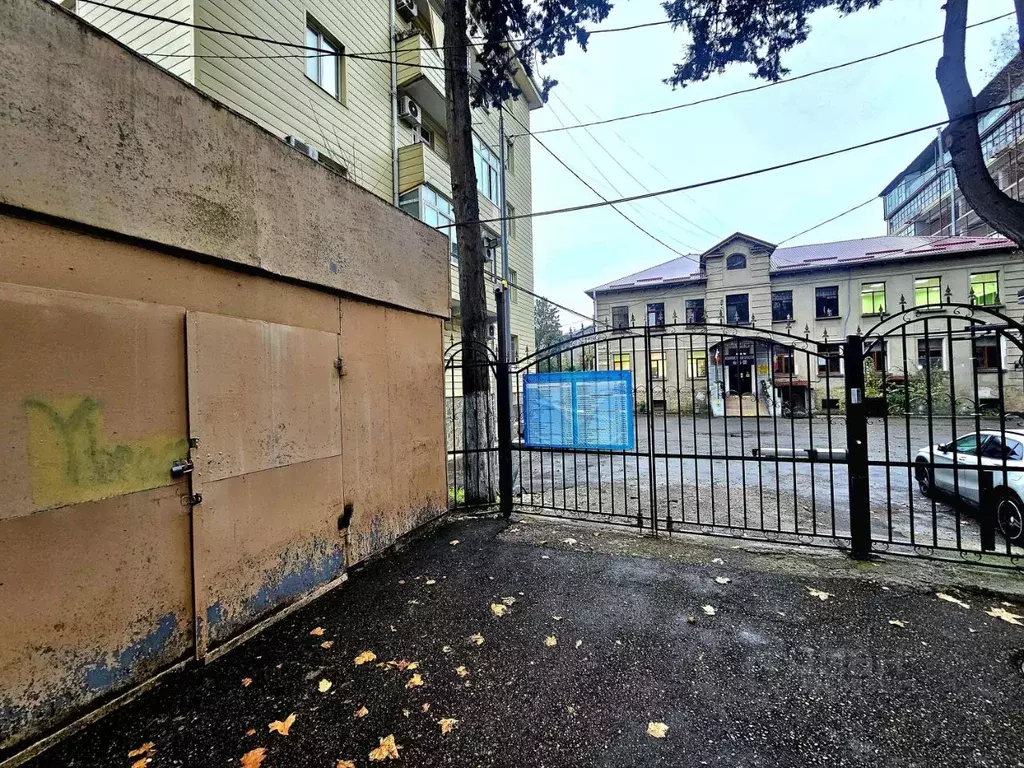 Помещение свободного назначения в Краснодарский край, Сочи Центральный ... - Фото 0