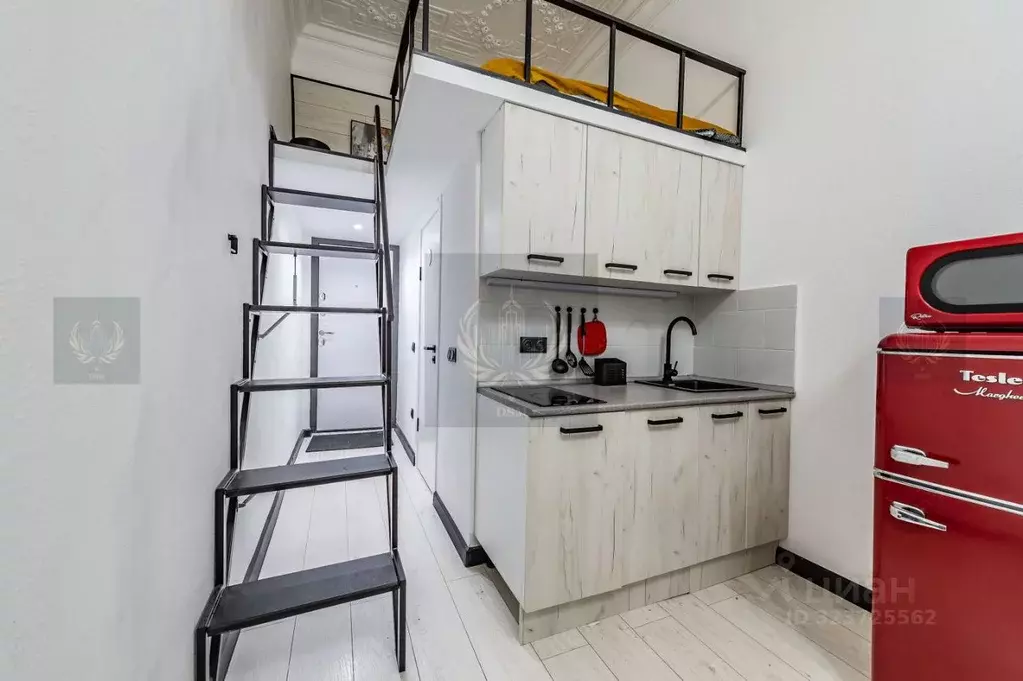 Студия Санкт-Петербург Митавский пер., 10 (28.9 м) - Фото 1