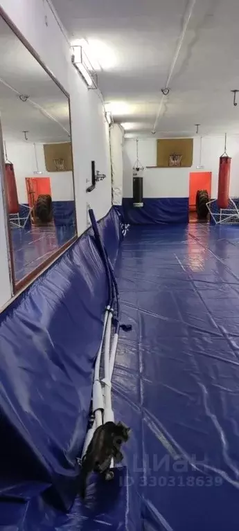 Помещение свободного назначения в Новосибирская область, Искитим ... - Фото 1