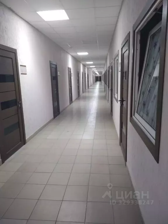 Помещение свободного назначения в Алтайский край, Барнаул ул. ... - Фото 2