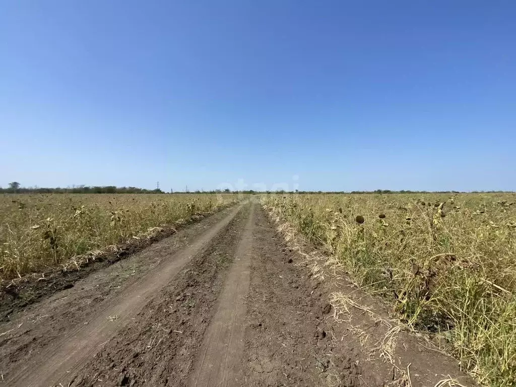 Участок в Краснодарский край, Ейск ул. Александра Вострикова (6.0 ... - Фото 1