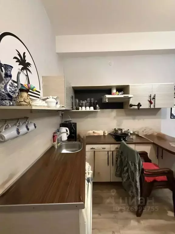 Студия Краснодарский край, Сочи городской округ, с. Раздольное ул. ... - Фото 1