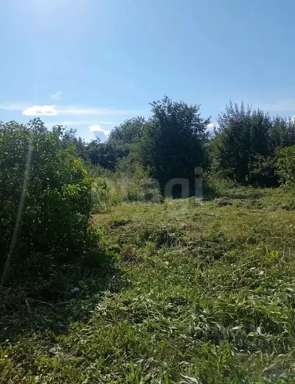 Участок в Костромская область, Кострома Огонек-2 СНТ, 34 (5.72 сот.) - Фото 1
