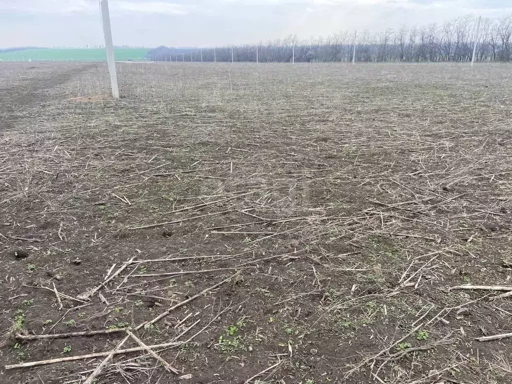 Участок в Ростовская область, Мясниковский район, с. Большие Салы ул. ... - Фото 2