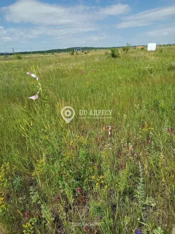 Участок в Саратовская область, Саратов  (6.0 сот.) - Фото 1