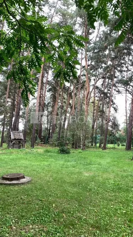 Участок 35 сот. (ИЖС) - Фото 1