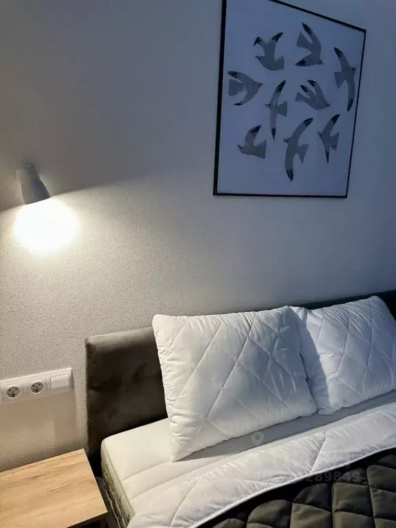 Студия Санкт-Петербург Ремесленная ул., 15 (27.0 м) - Фото 2